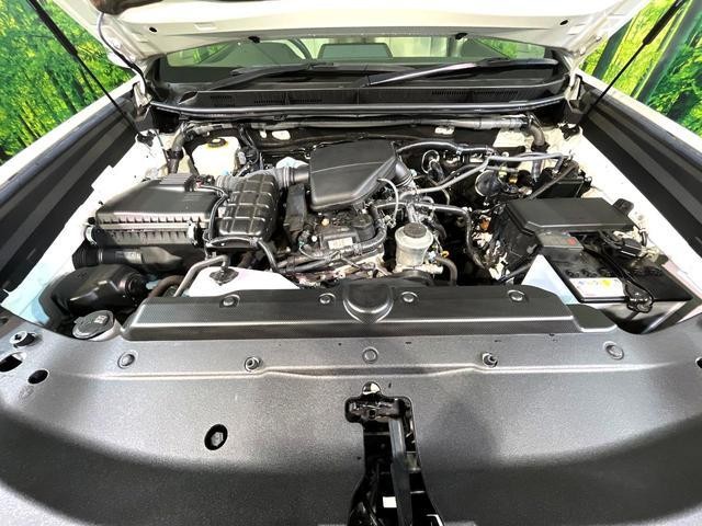 26731479_carP_l_16.jpg