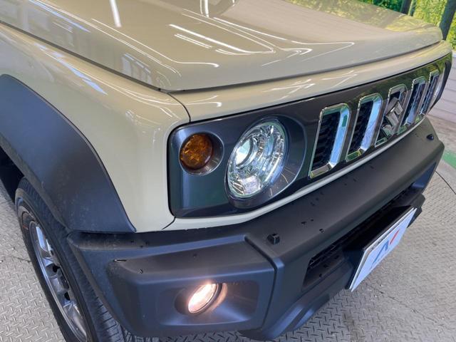 23965730_carP_l_6.jpg
