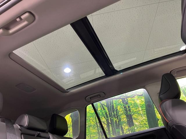 27184871_carP_l_4.jpg