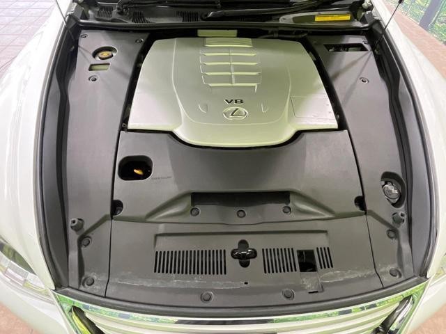 25445934_carP_l_16.jpg