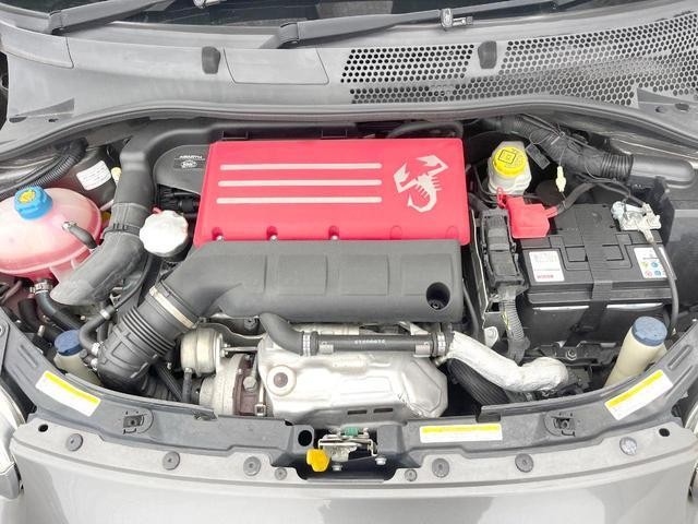 26425089_carP_l_16.jpg