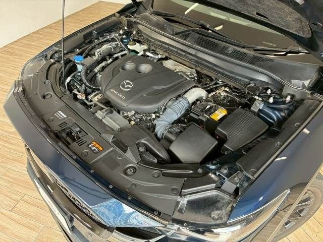 9433b03ff72816ae88df1c2c0e31a03f.jpg