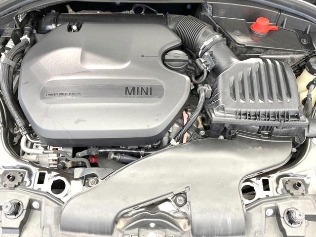 24319672_carP_l_20.jpg
