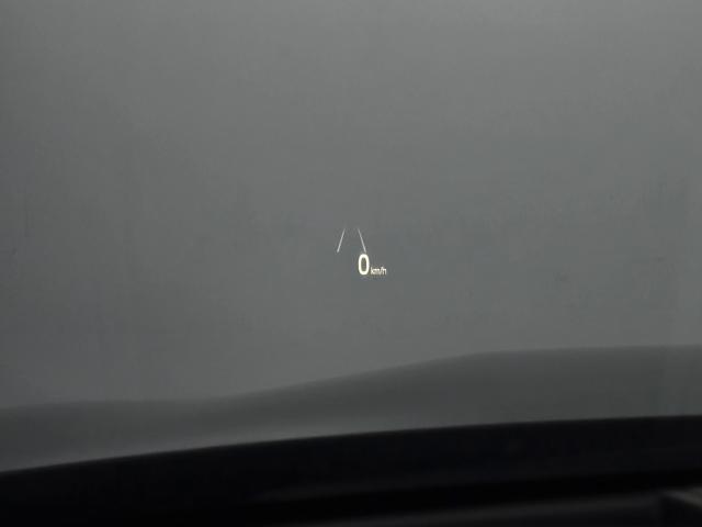 97f17aa9745983bab260a57f8d9bf2a8.jpeg