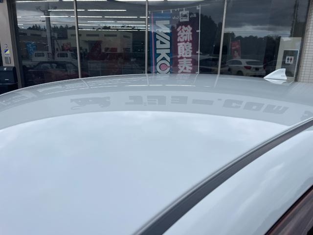 0540484A30260918W00415.jpg