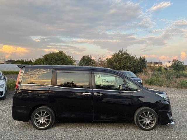 25963642_carP_l_8.jpg
