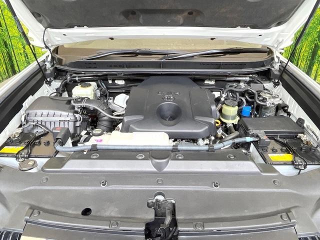 26426218_carP_l_16.jpg