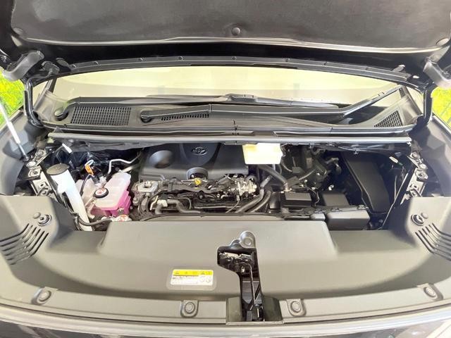 25117460_carP_l_11.jpg