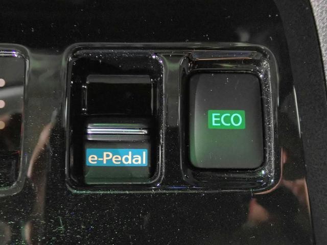 0230024A30260521W00609.jpg