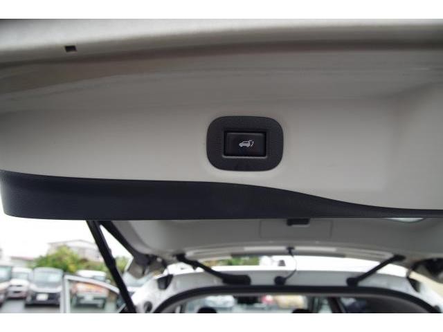 24747845_carP_l_16.jpg