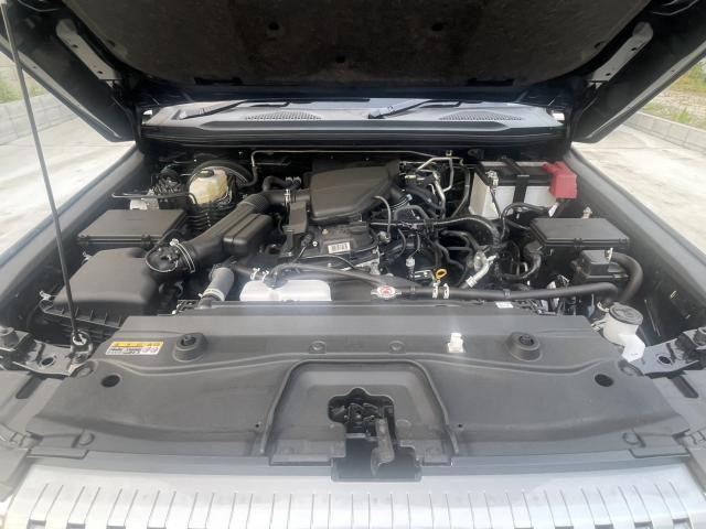 25364872_carP_l_17.jpg