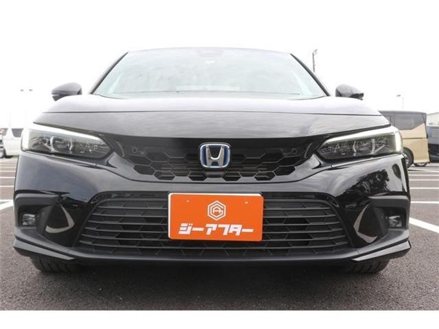 26090370_carP_l_14.jpg