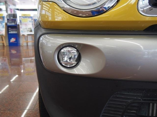 25967380_carP_l_9.jpg
