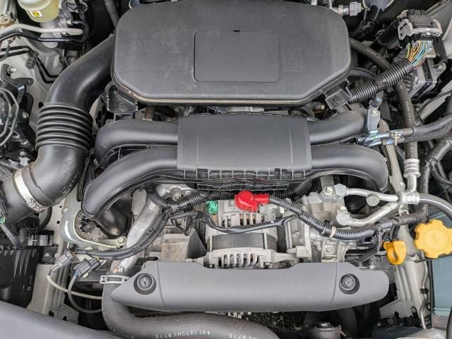 0541751A30260914W02918.jpg