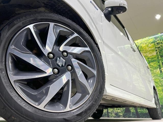 26623658_carP_l_7.jpg