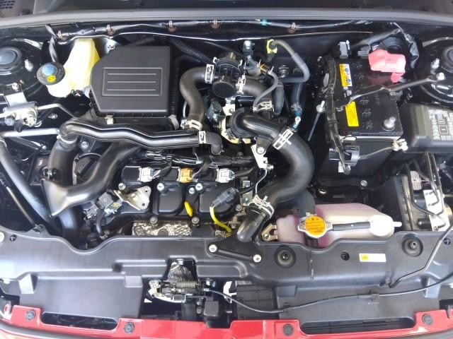27162669_carP_l_17.jpg