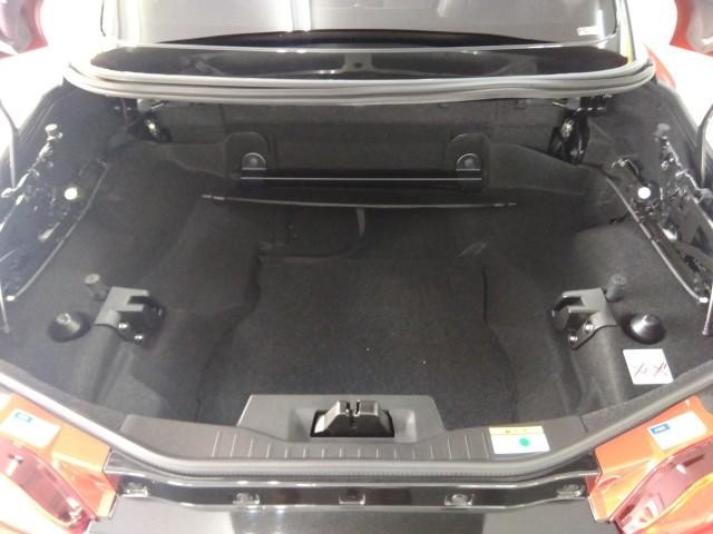 27162669_carP_l_18.jpg