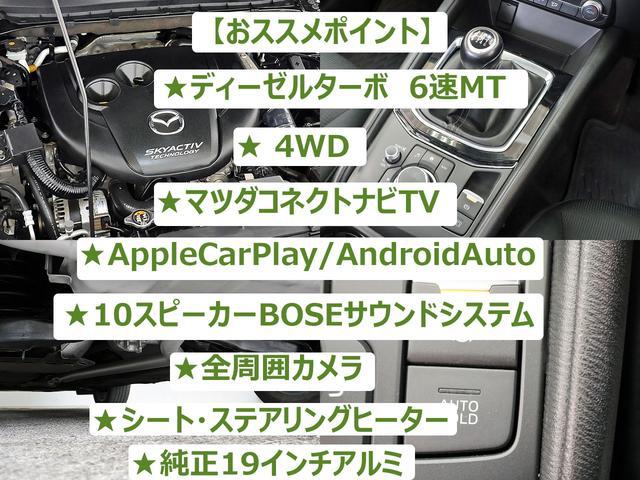 0204624A30260705W00101.jpg