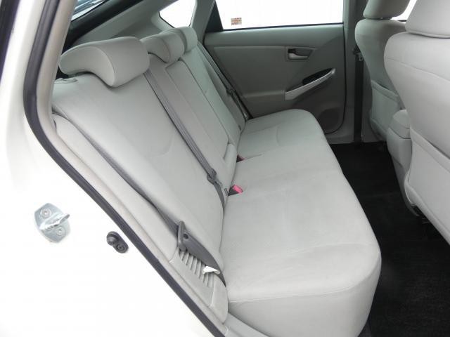25090538_carP_l_6.jpg