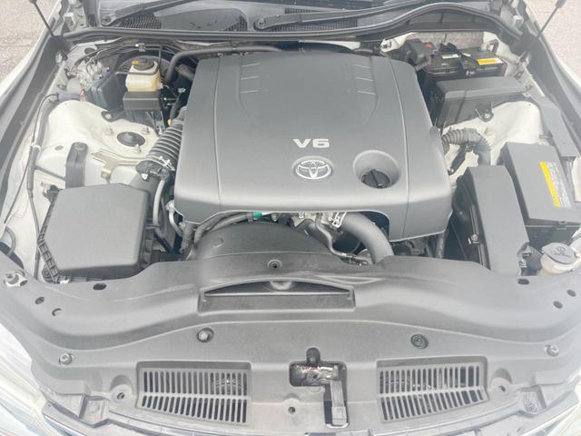 24133897_carP_l_18.jpg