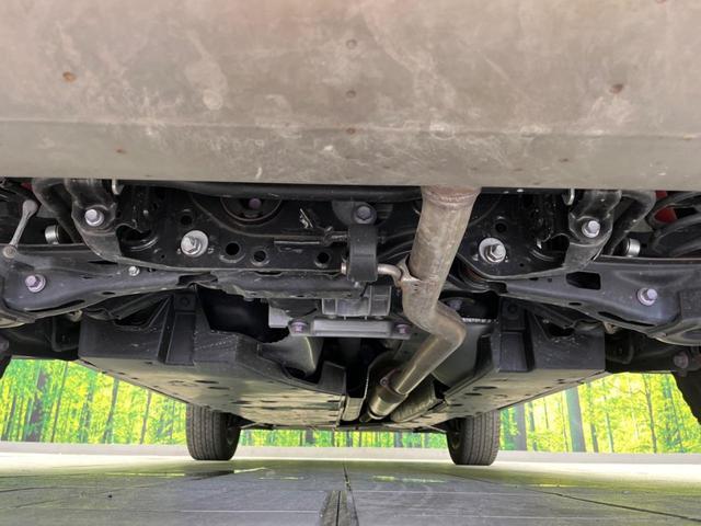 24133921_carP_l_18.jpg