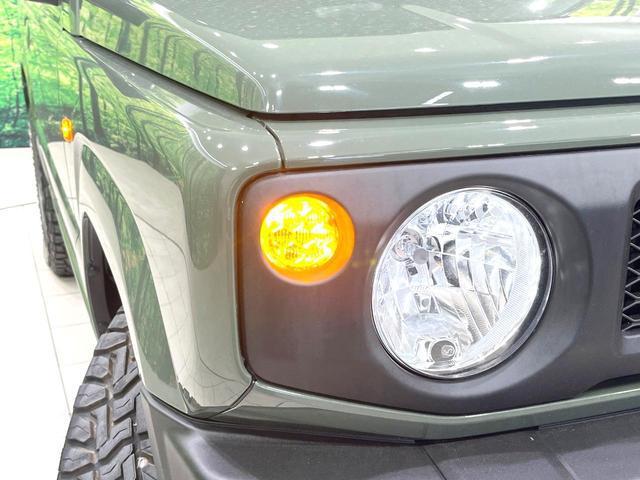 24008640_carP_l_6.jpg