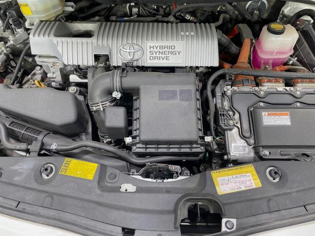 24239674_carP_l_16.jpg