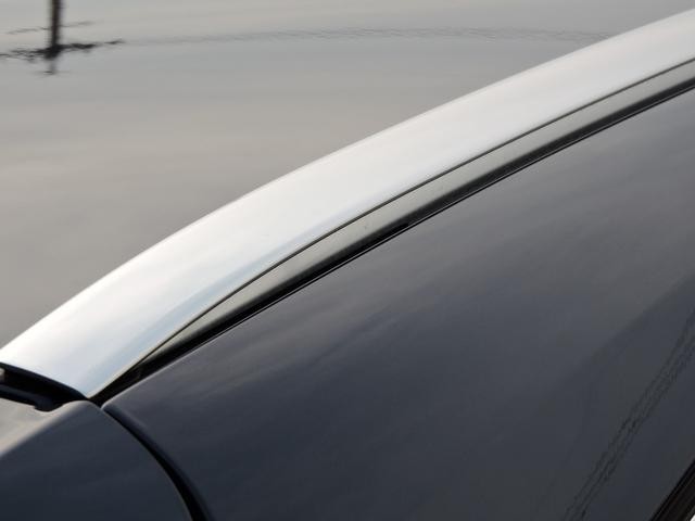 9200291A30260731W00111.jpg