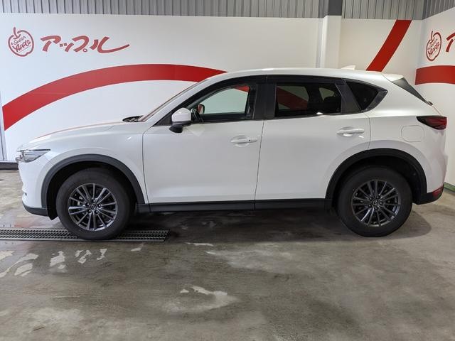 0903185A30260903W00517.jpg
