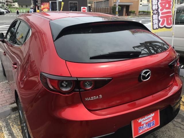 1002016A30260811W00315.jpg