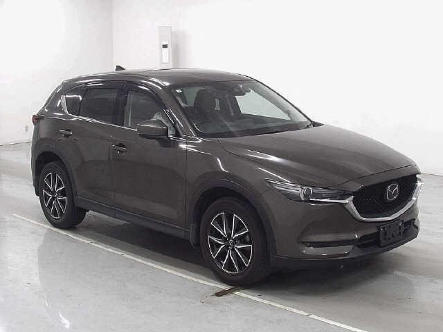 26090647_carP_l_10.jpg