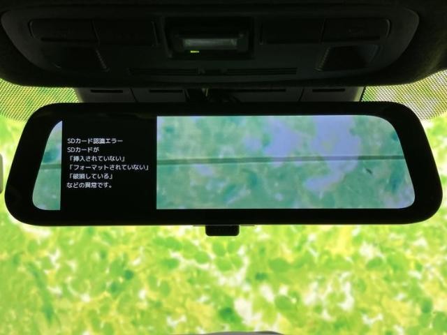 24822797_carP_l_11.jpg