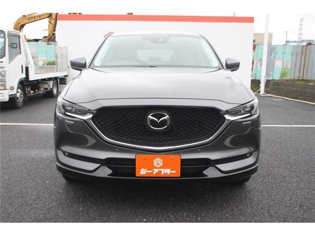 24947090_carP_l_17.jpg