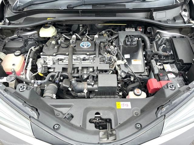 26469047_carP_l_12.jpg