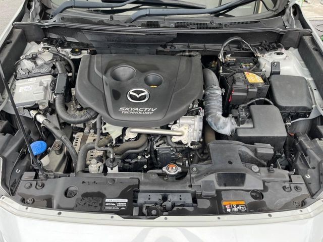 b153e256e3c9f010b85ab4ee45a4705c.jpg