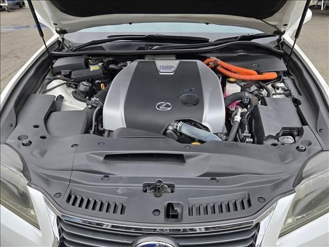 26161969_carP_l_8.jpg