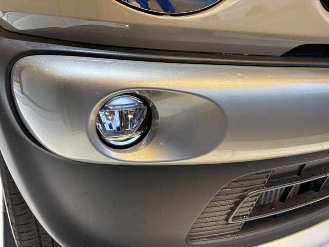 26665132_carP_l_8.jpg