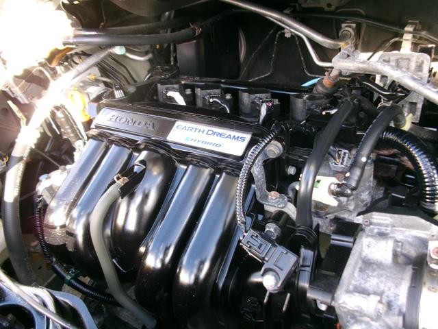 0902477A30261003W00114.jpg