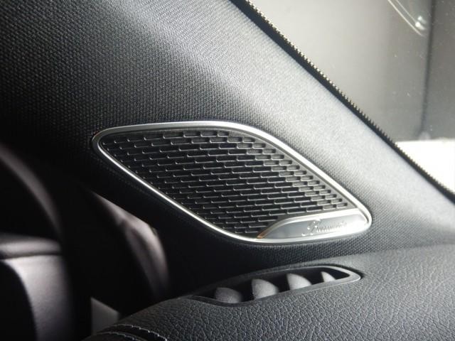 25221375_carP_l_12.jpg
