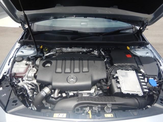 25221375_carP_l_17.jpg