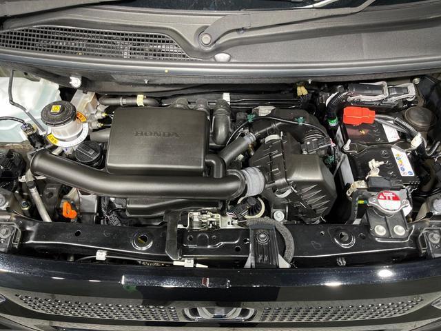 24051249_carP_l_16.jpg