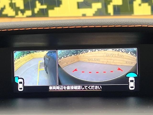 25096413_carP_l_10.jpg