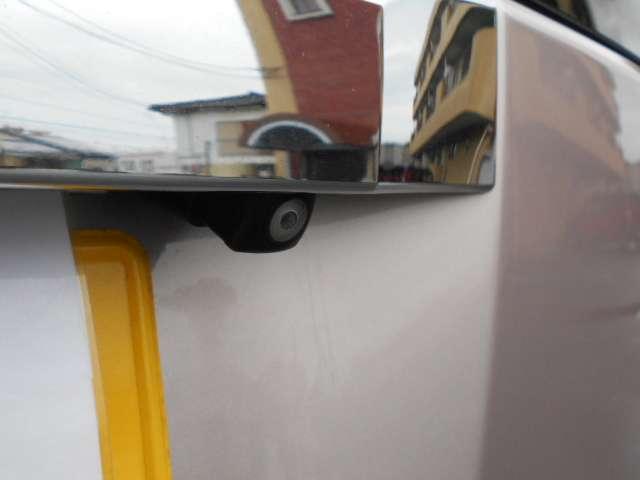 0801877A30260626W00114.jpg