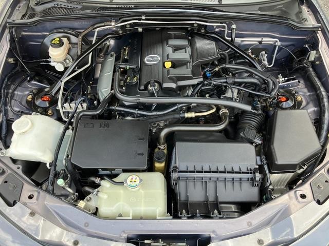 0541163A30260308W00117.jpg