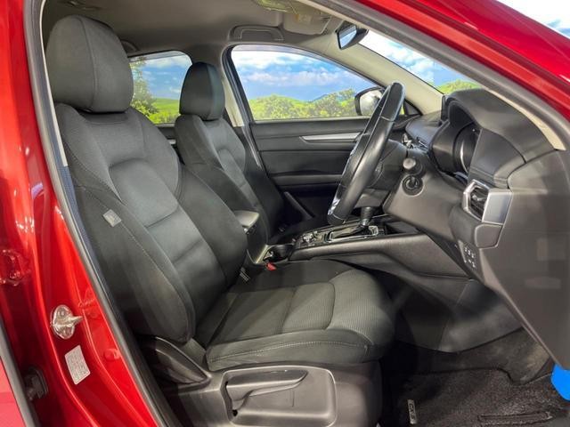 26492116_carP_l_19.jpg