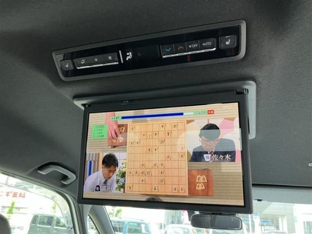 24918324_carP_l_6.jpg
