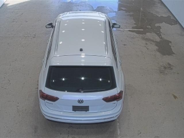 26099397_carP_l_10.jpg