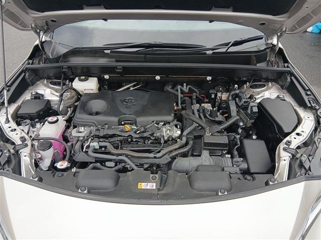 25728853_carP_l_20.jpg