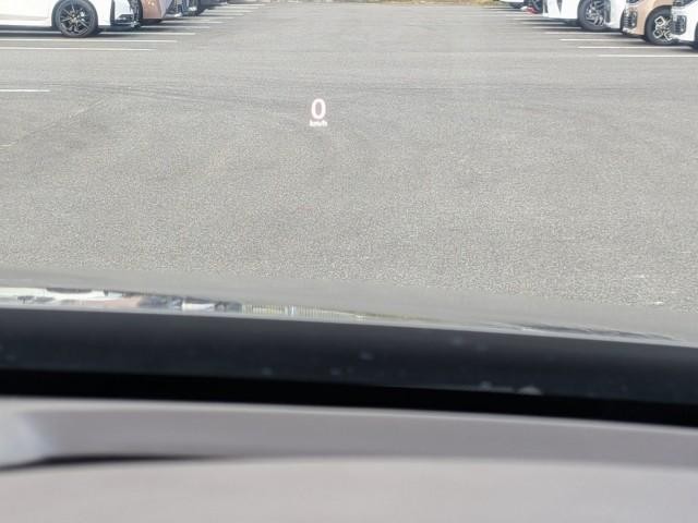 26606635_carP_l_18.jpg