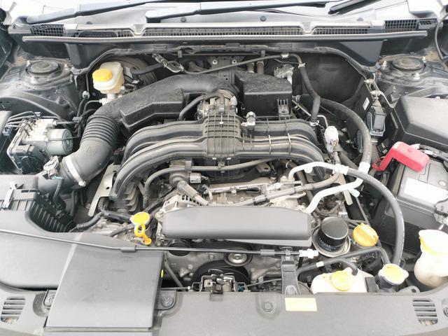 24766827_carP_l_9.jpg